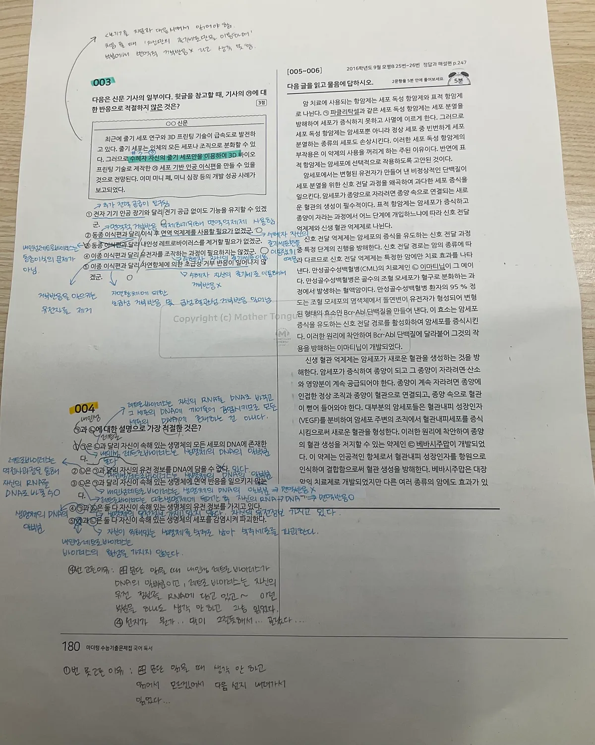 이미지 8