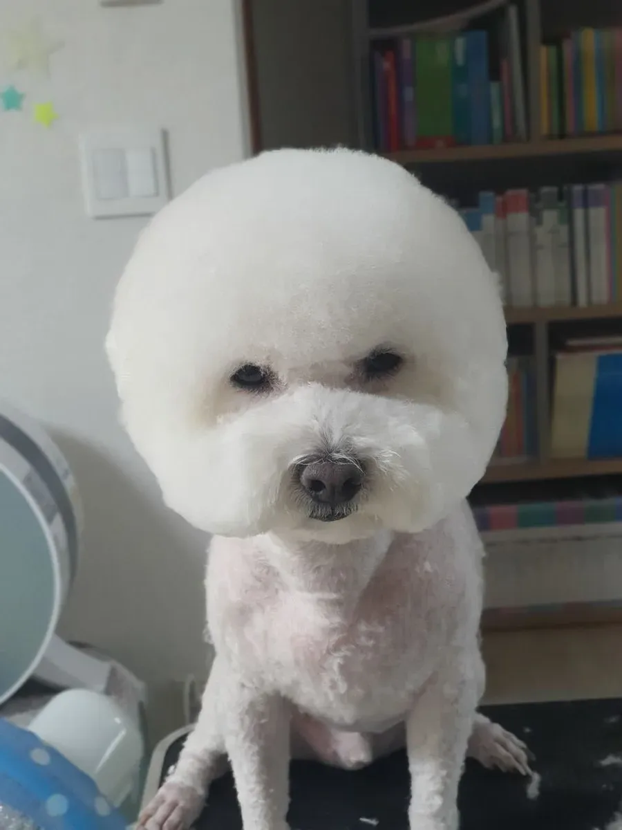 이미지 9