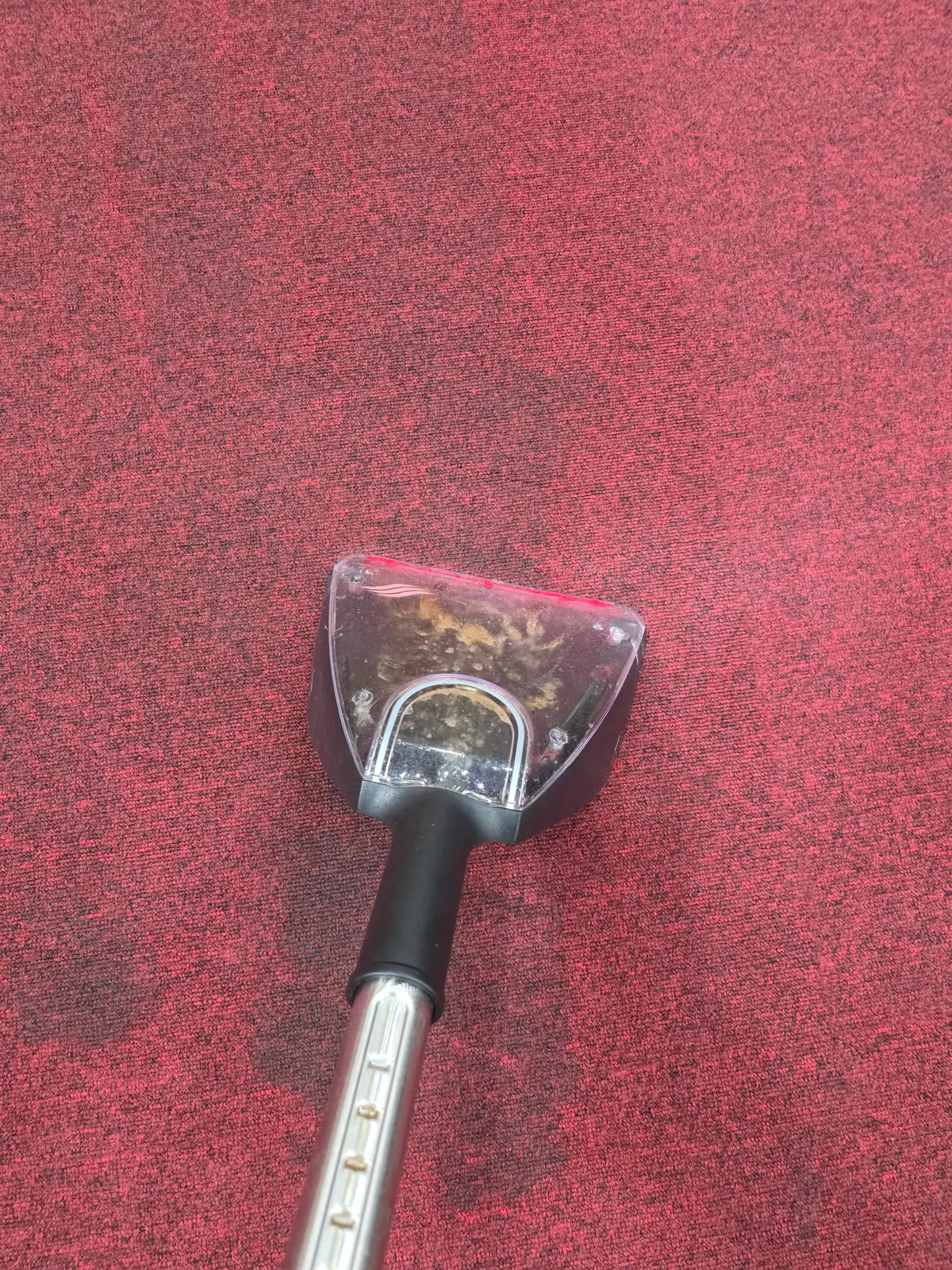 이미지 8