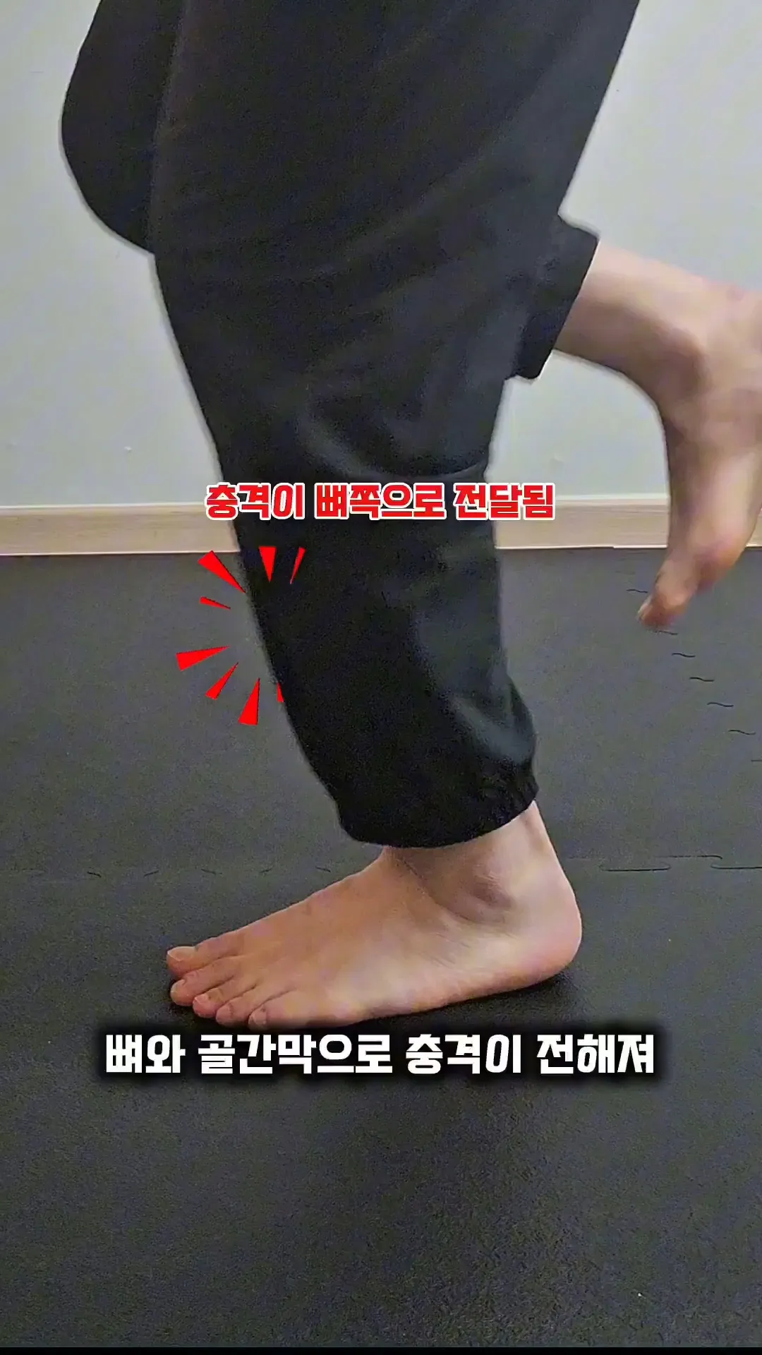 이미지 10