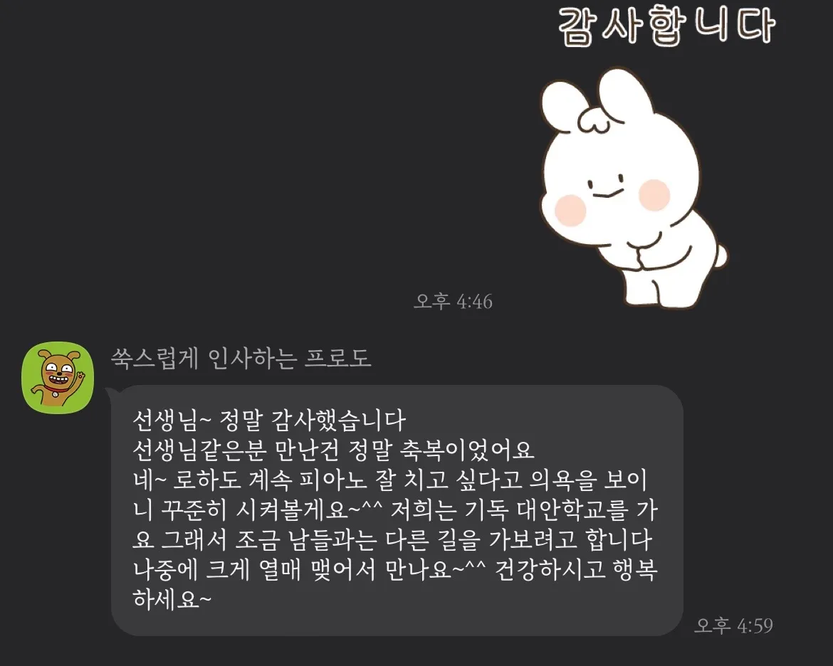이미지 5