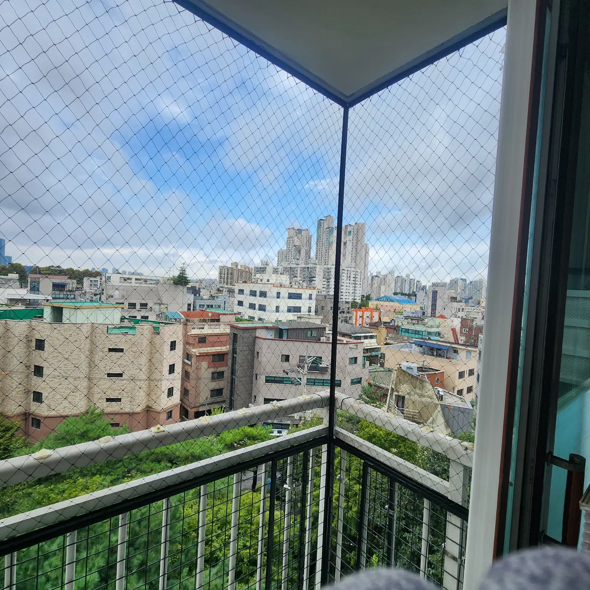 이미지 7