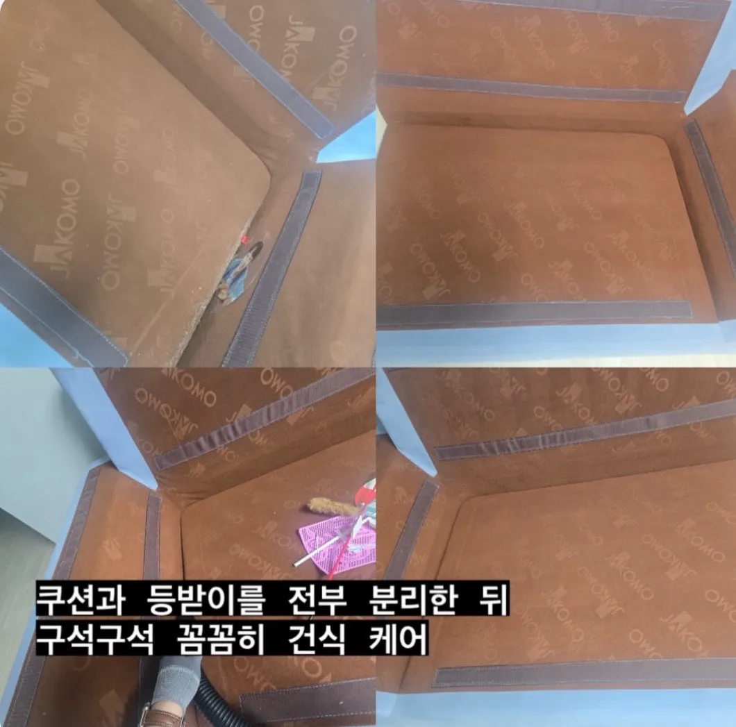 이미지 5