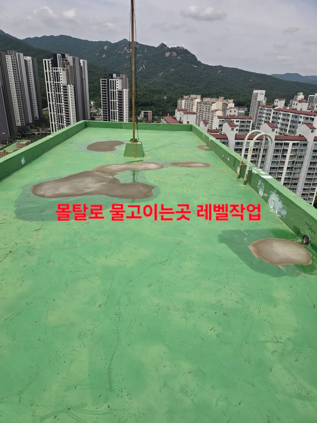 이미지 16