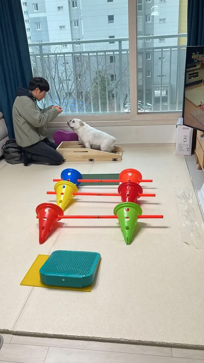 포트폴리오 이미지