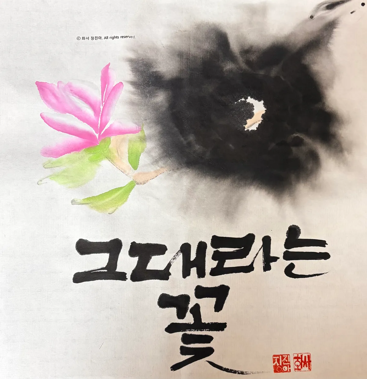 이미지 13