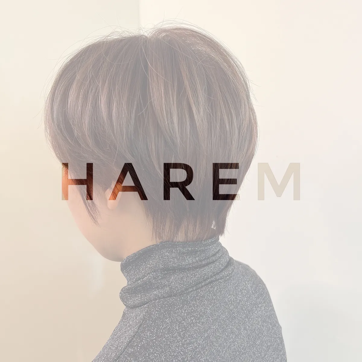 이미지 7