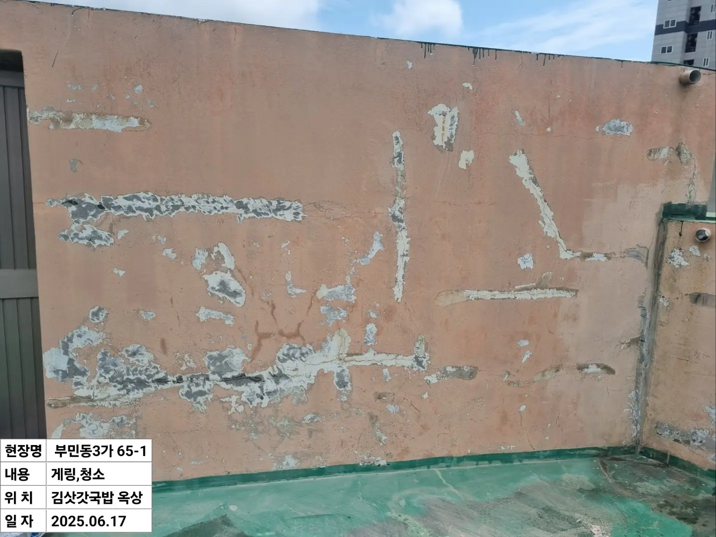 이미지 6