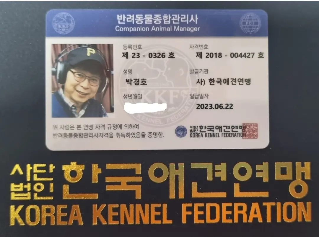 이미지 4