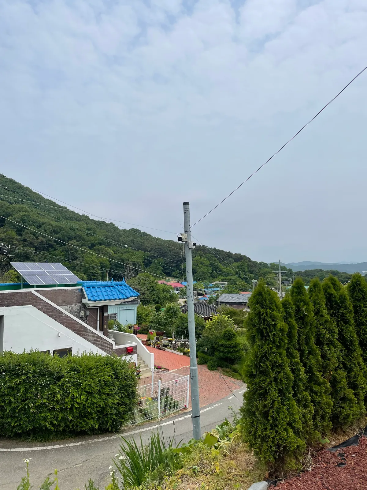 이미지 3