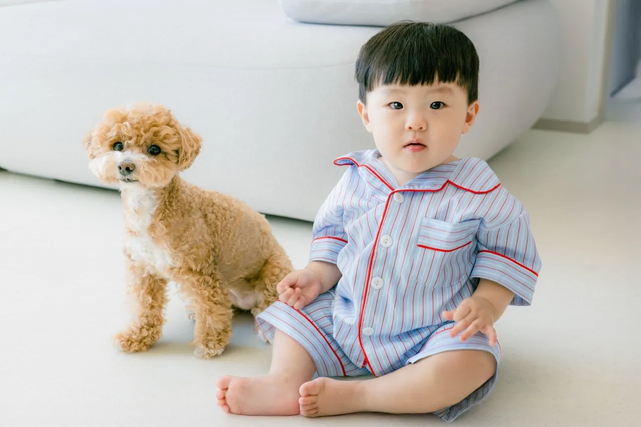 이미지 10