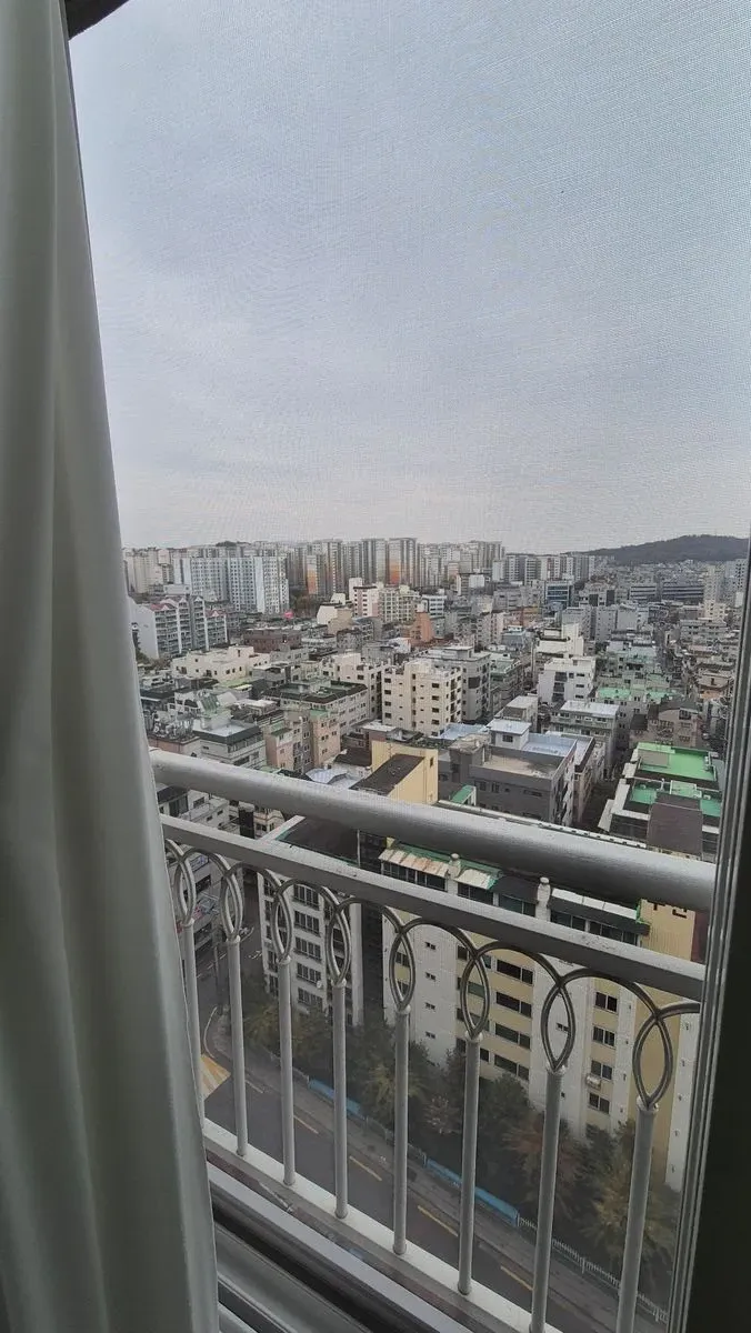 이미지 6