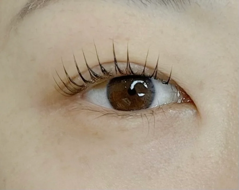 이미지 9