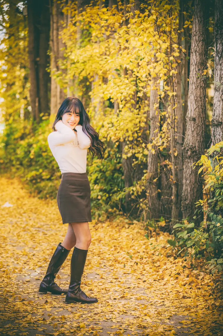 이미지 5