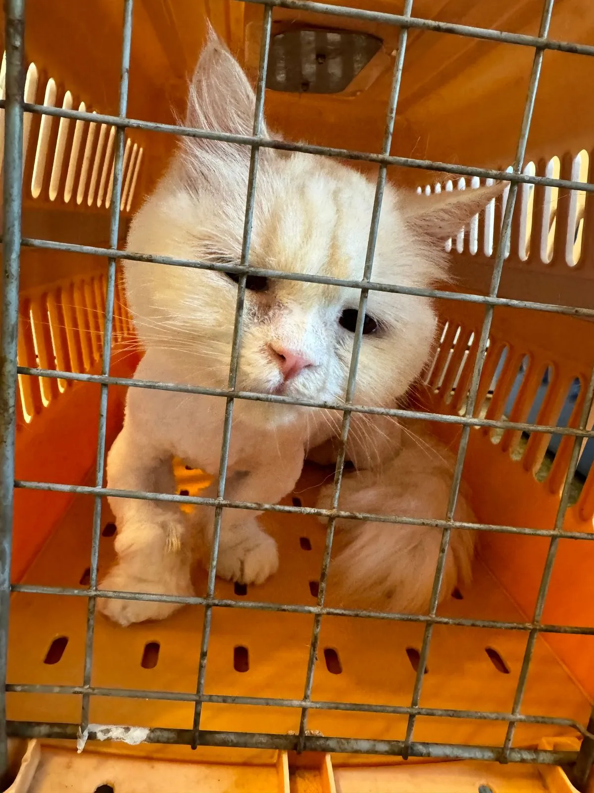 이미지 8