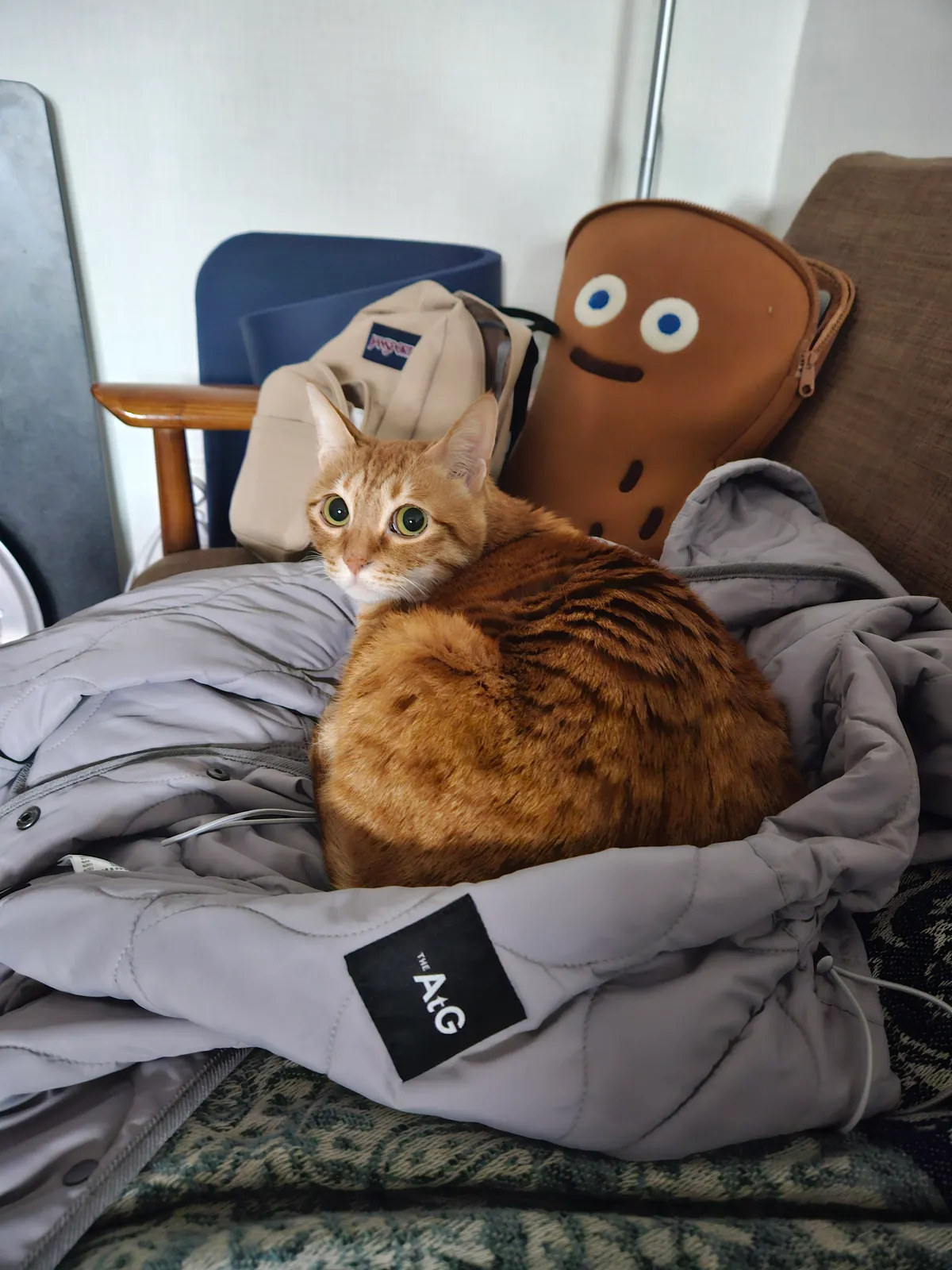 이미지 5
