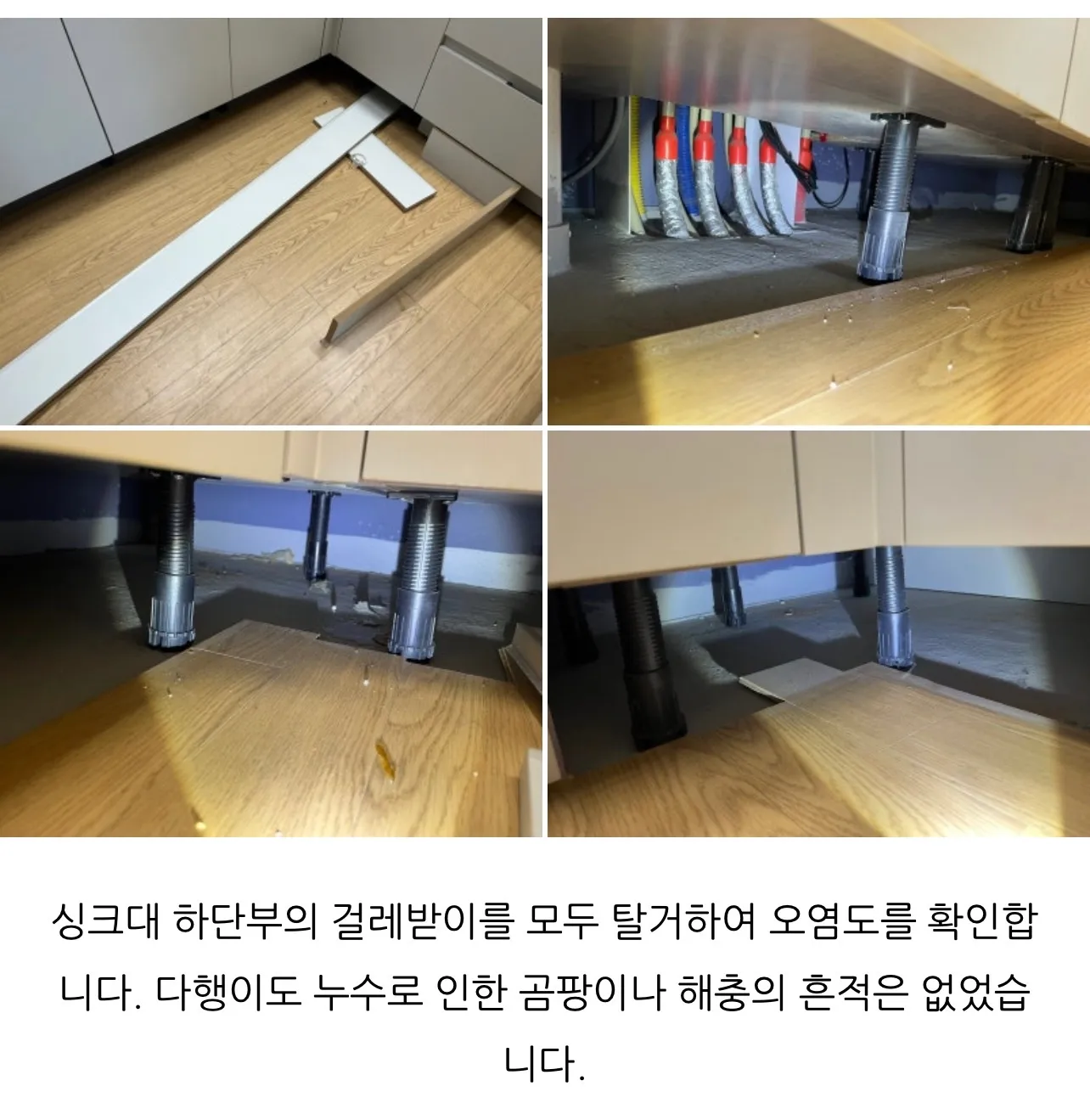 이미지 6