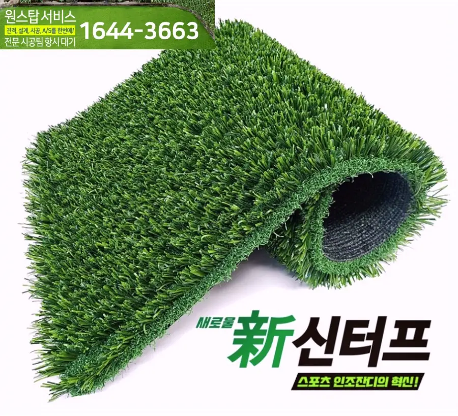 이미지 6