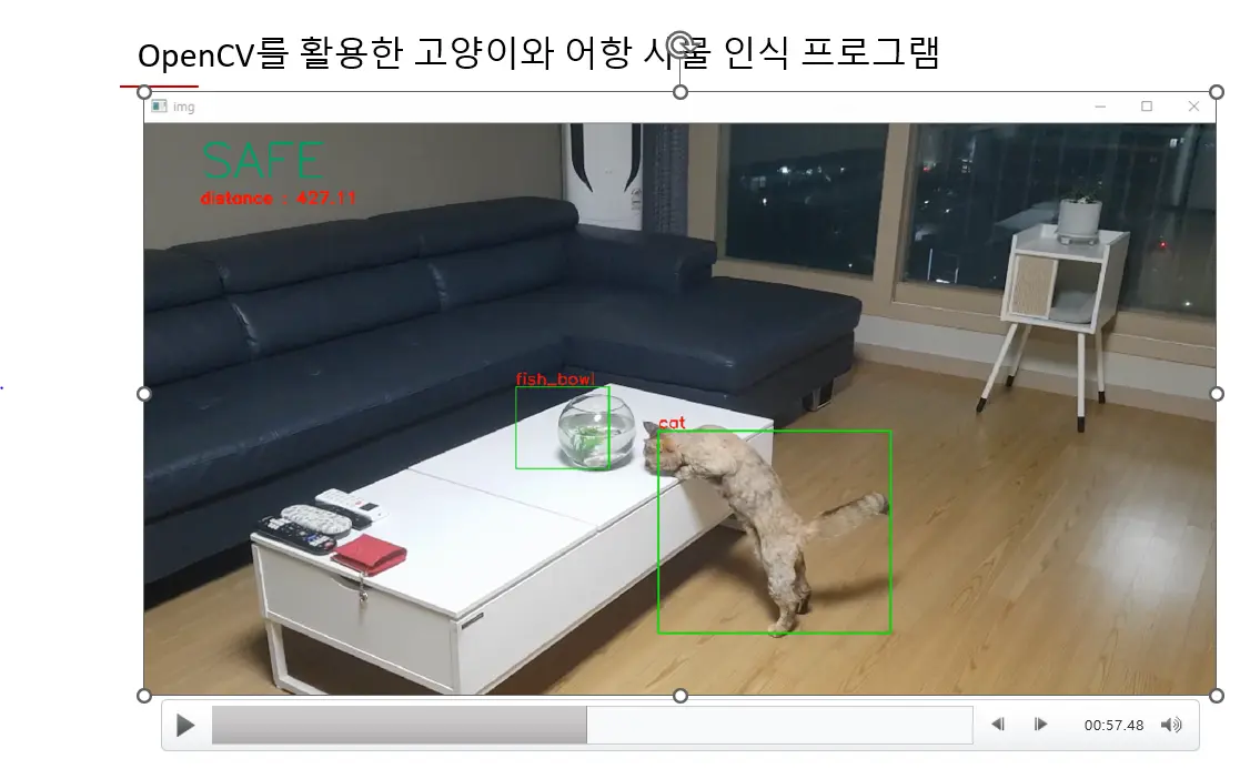 이미지 7