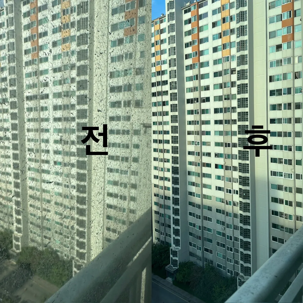 이미지 7