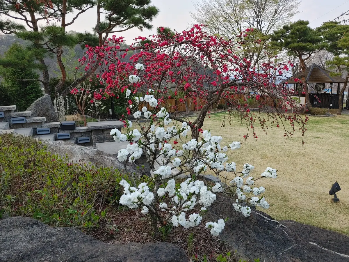 이미지 9