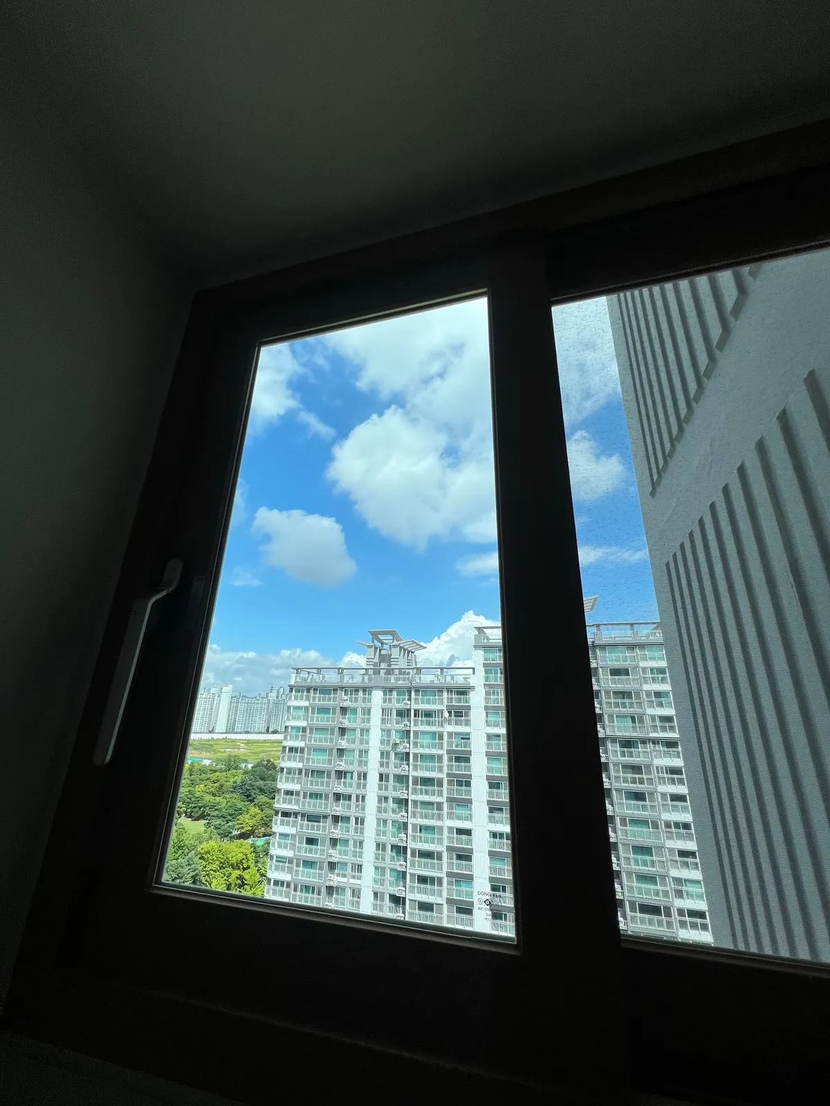 이미지 14