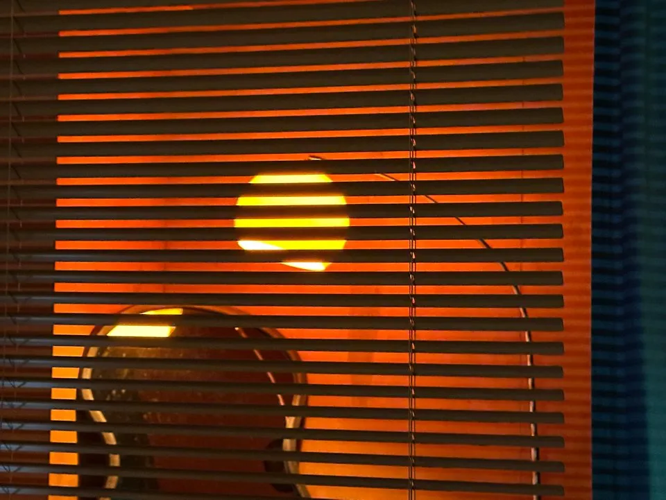 이미지 14