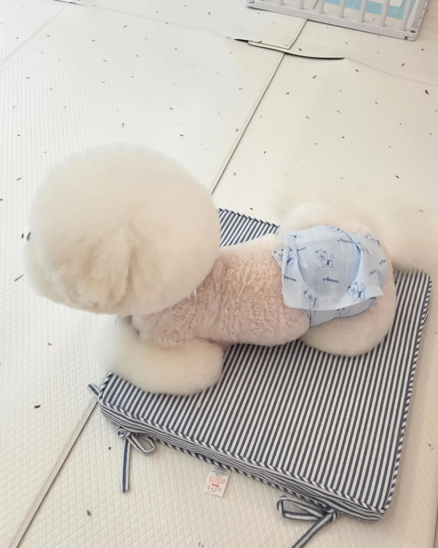 이미지 7