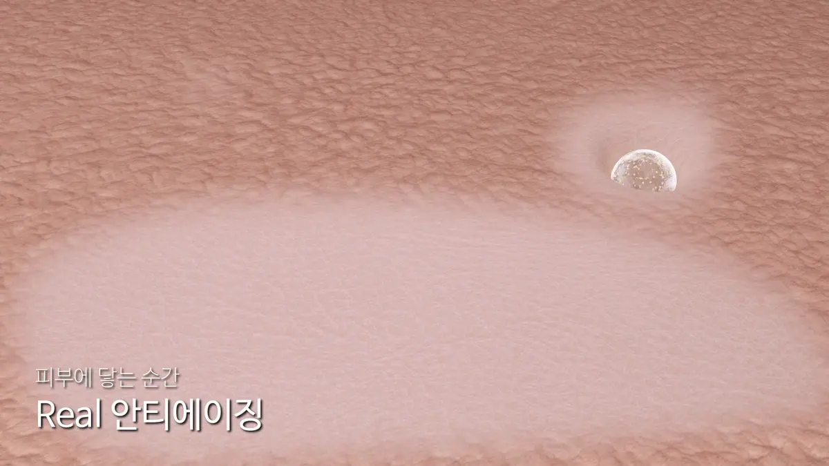 이미지 6