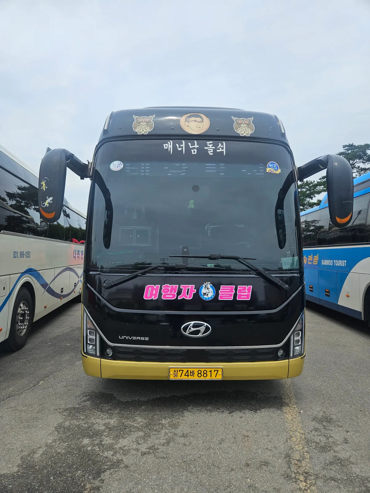 이미지 3