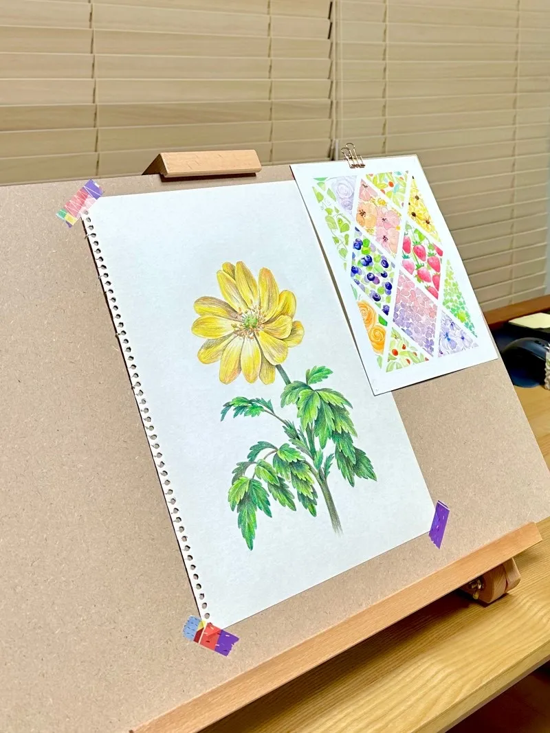 포트폴리오 이미지