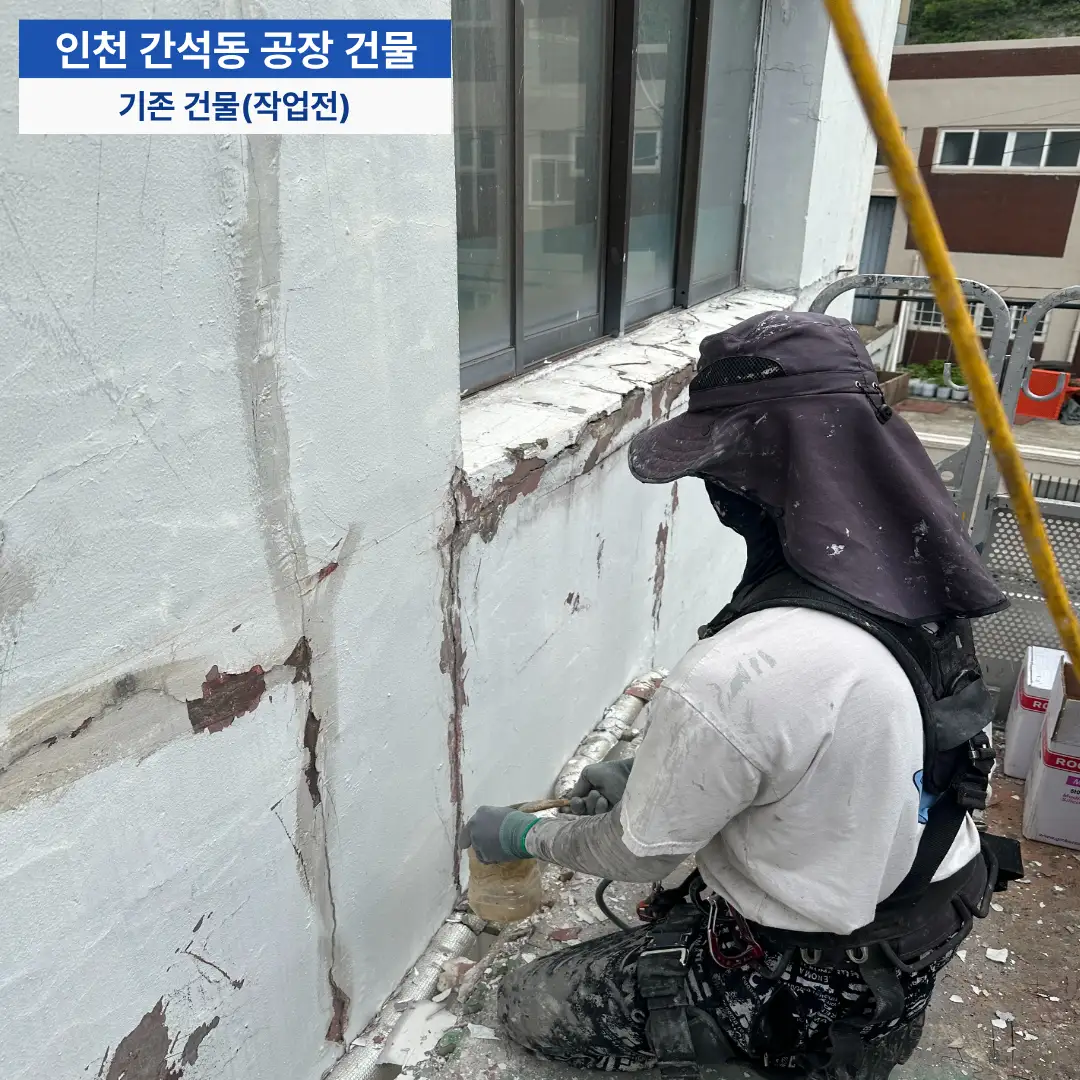 이미지 8