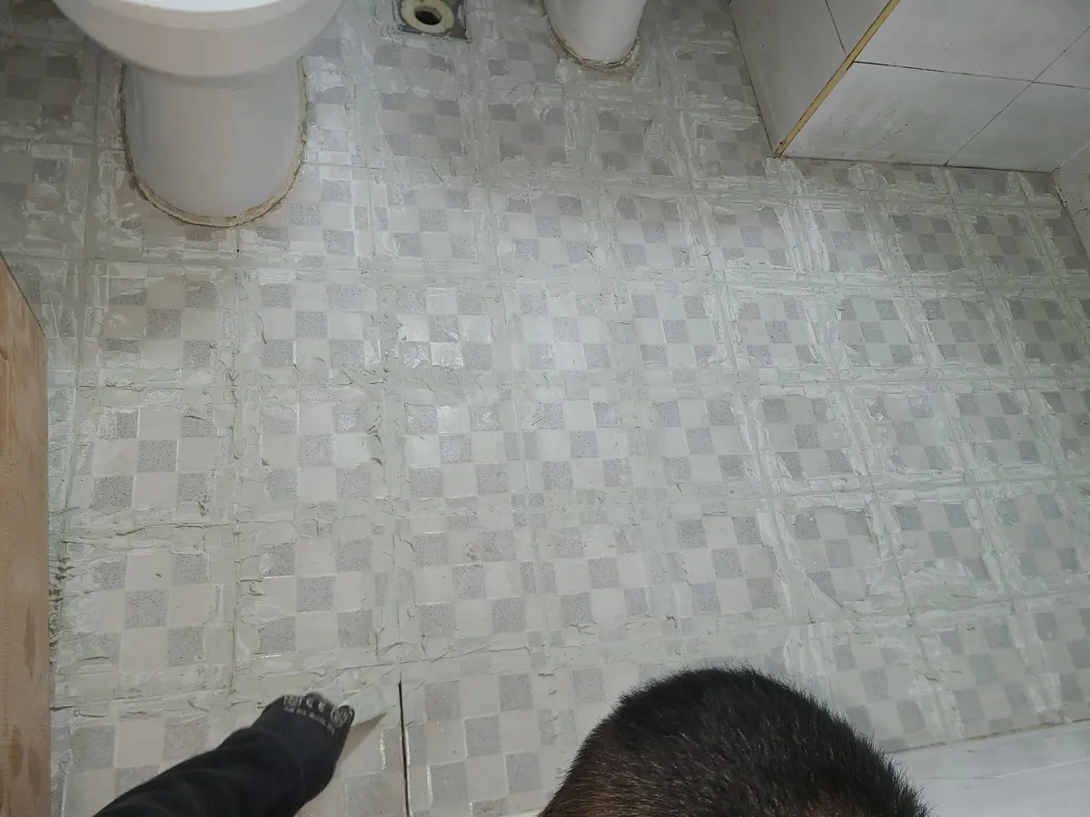 이미지 12