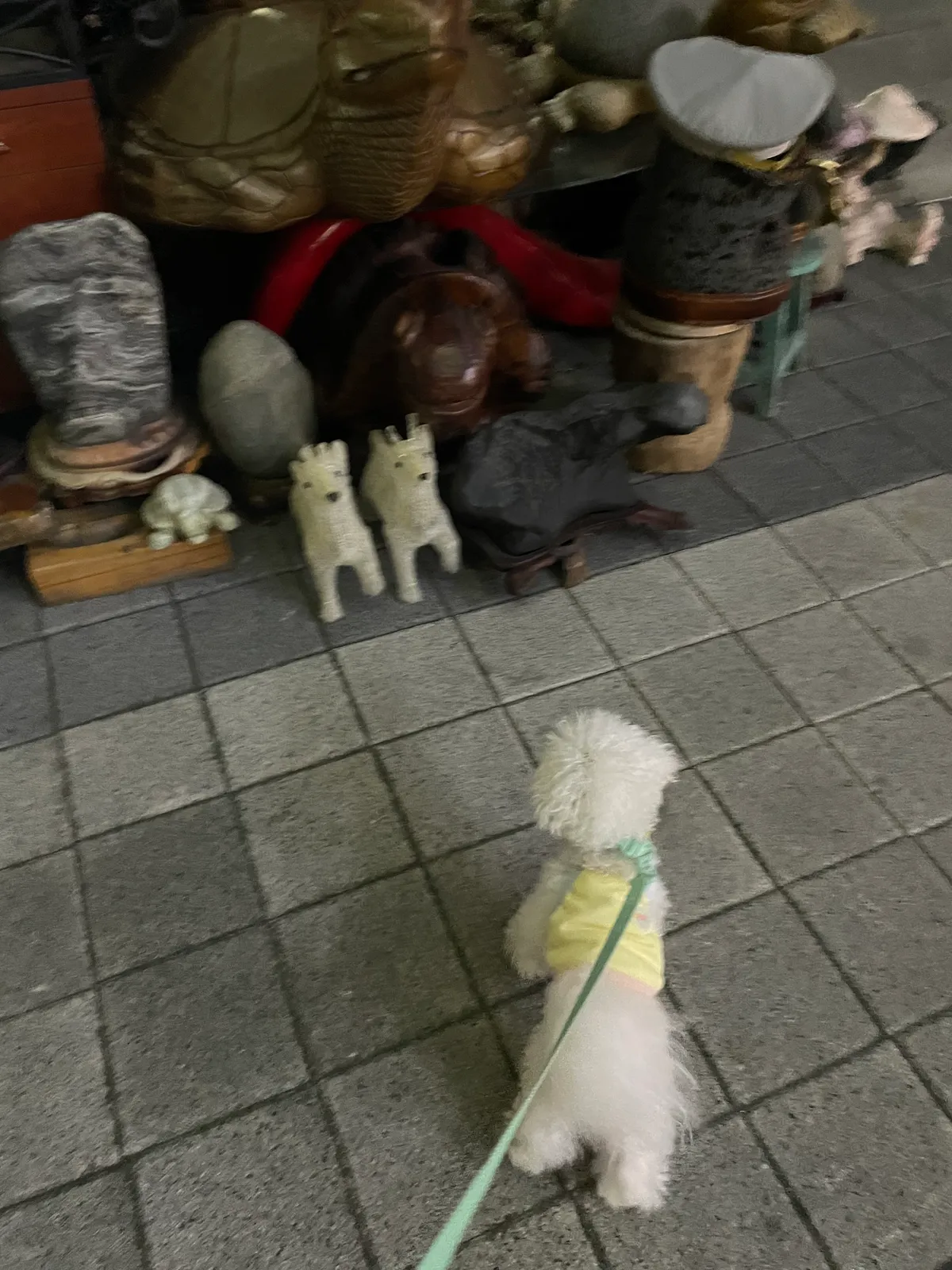 이미지 5