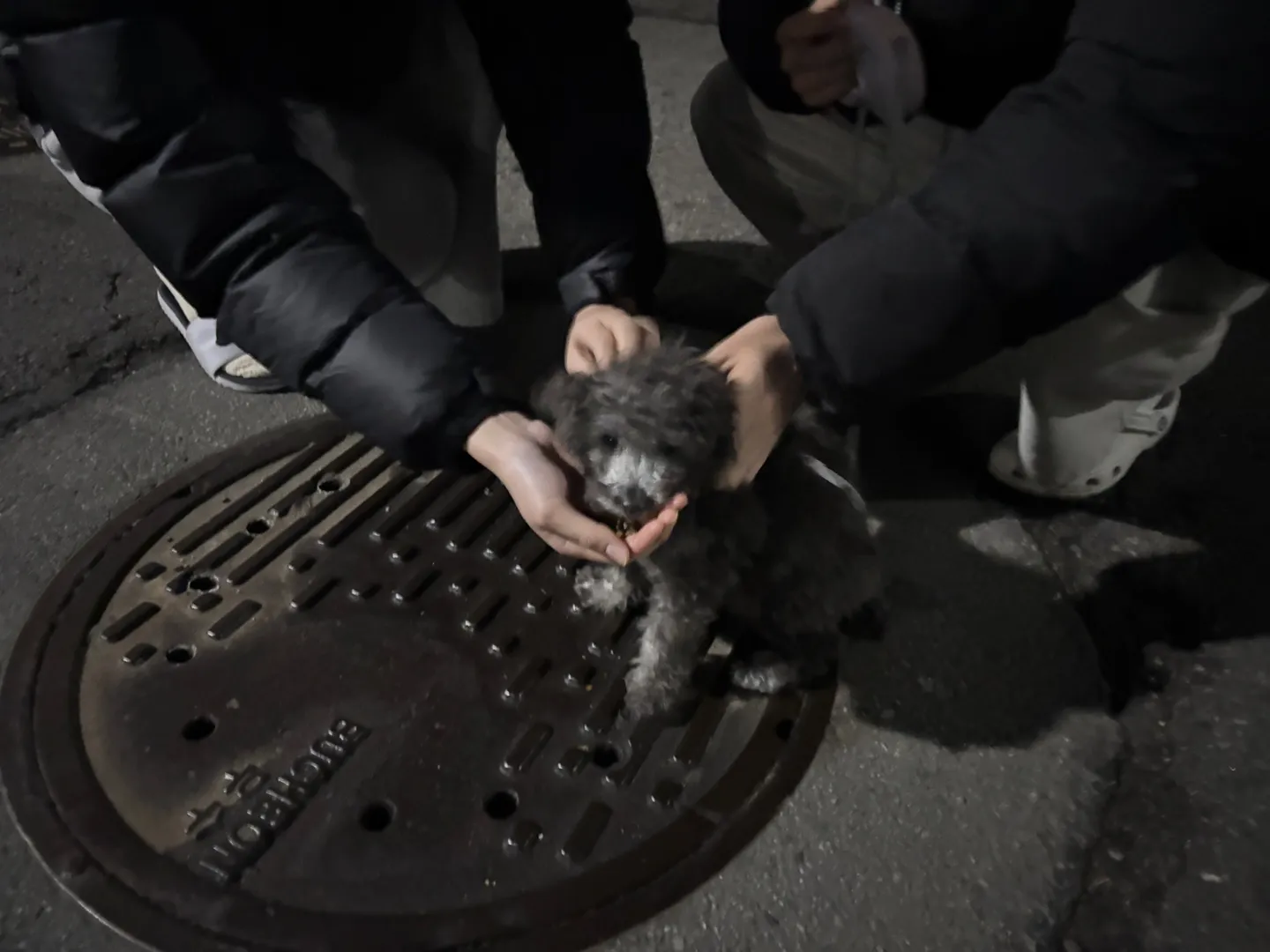 이미지 9