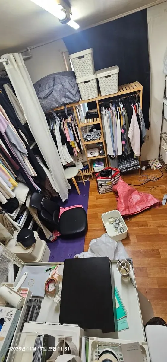 이미지 3