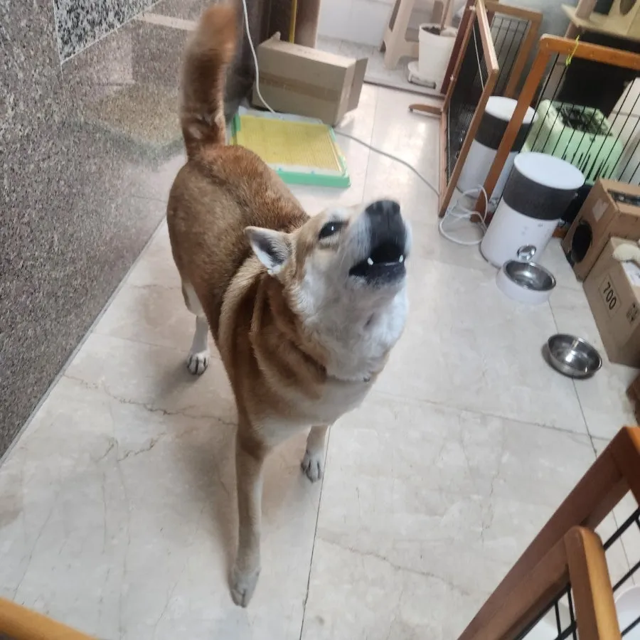 이미지 2
