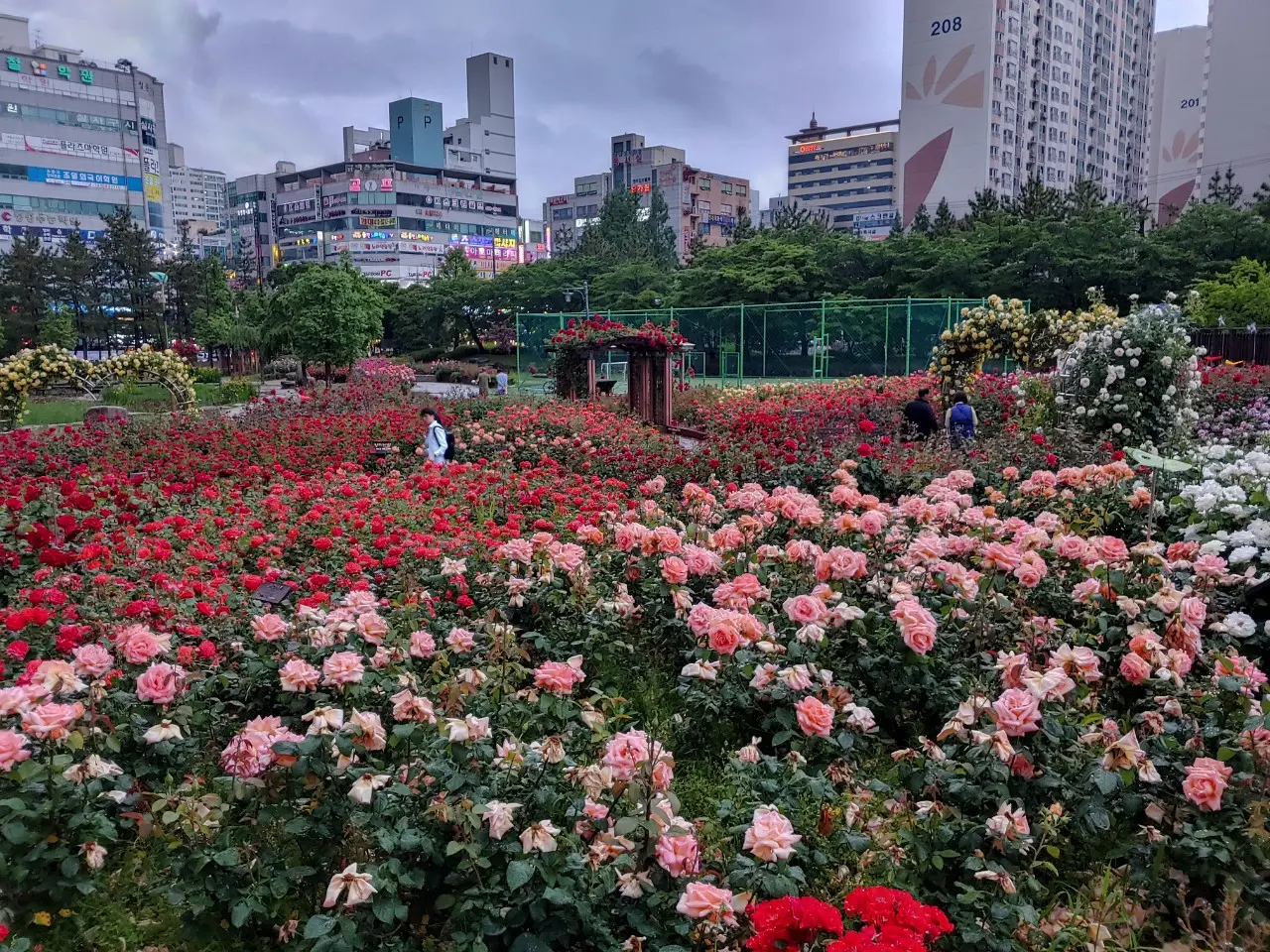 포트폴리오 이미지