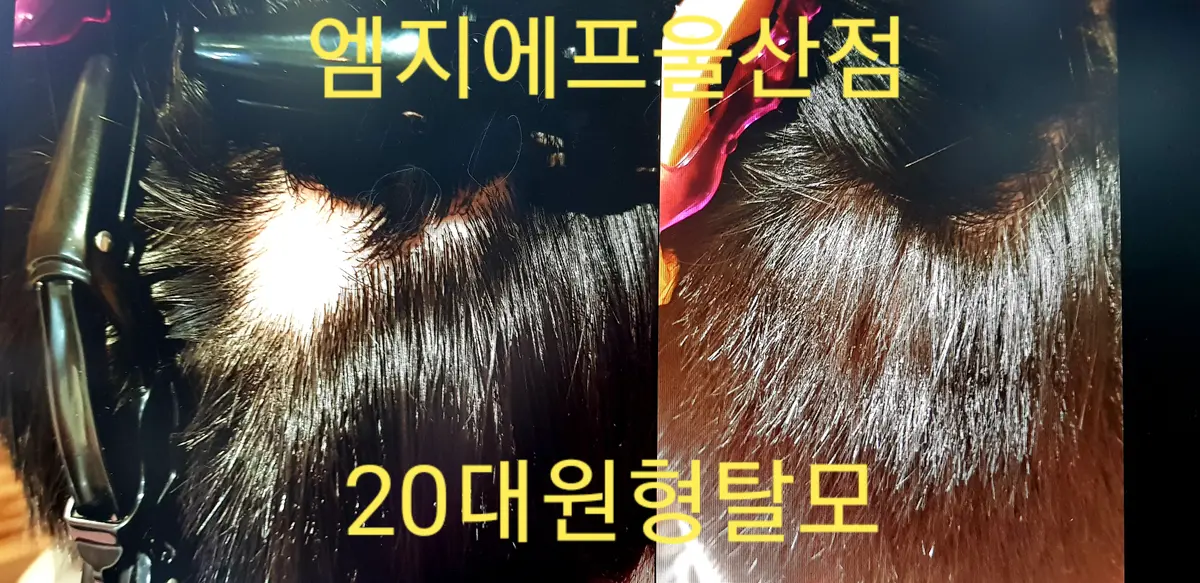 이미지 3