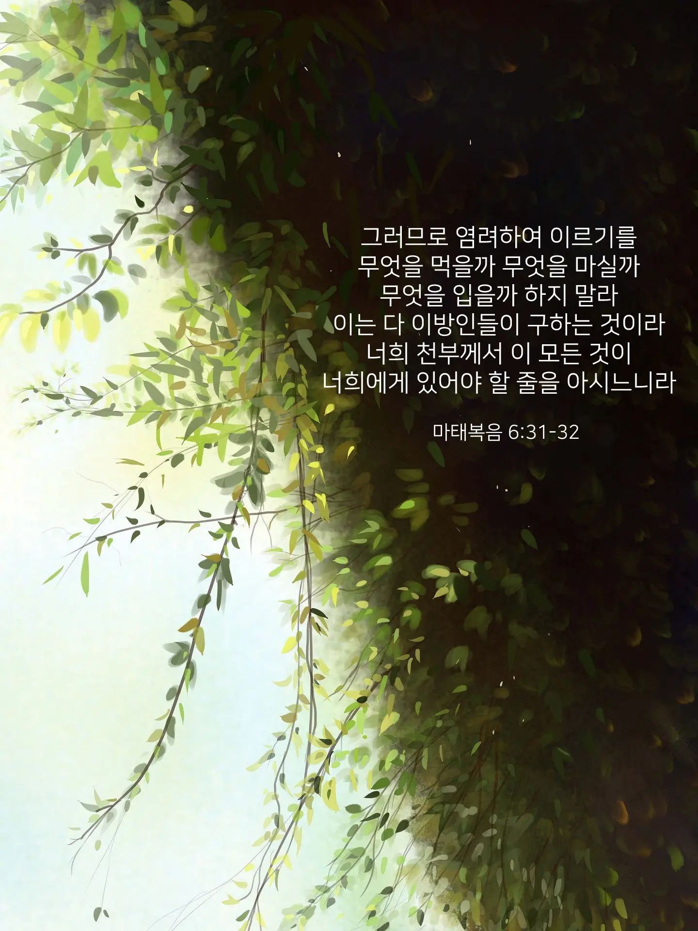 이미지 6