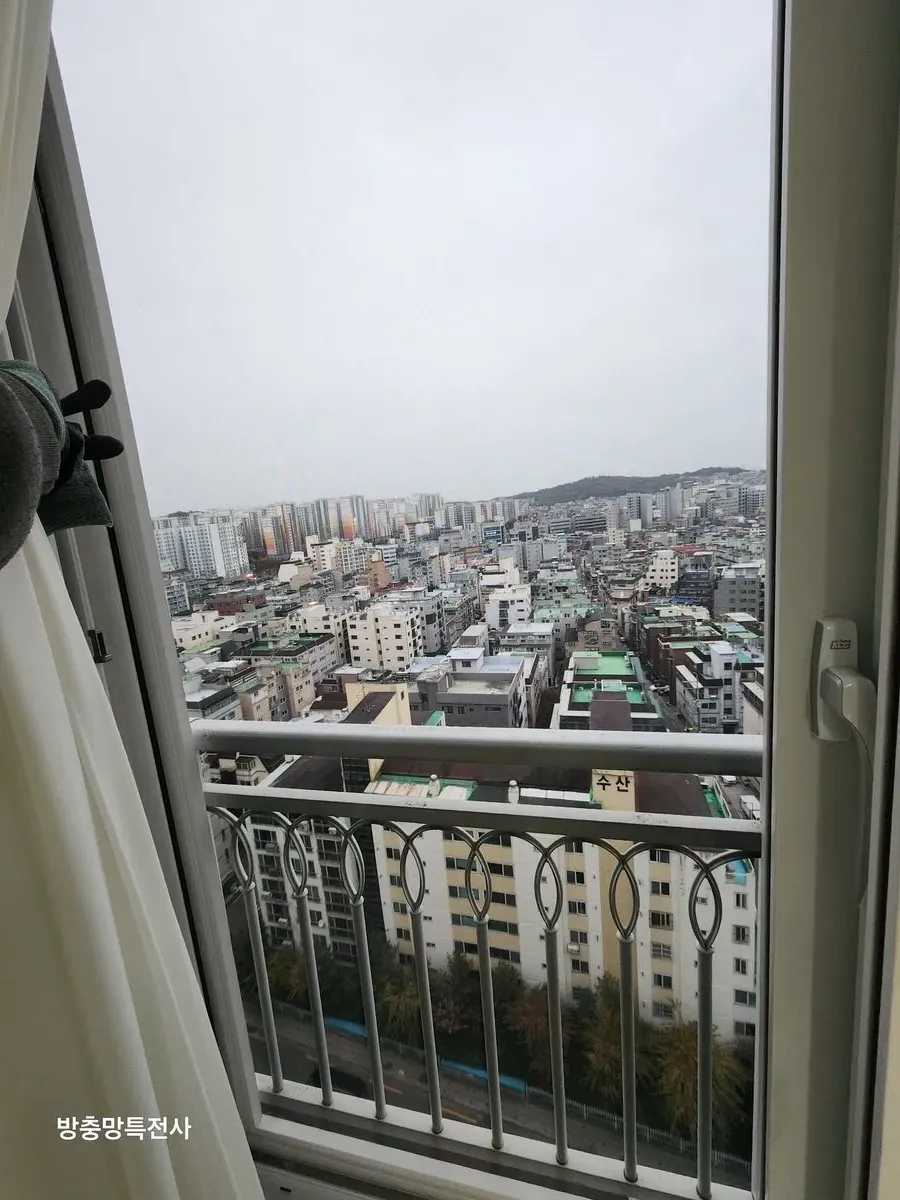 이미지 14