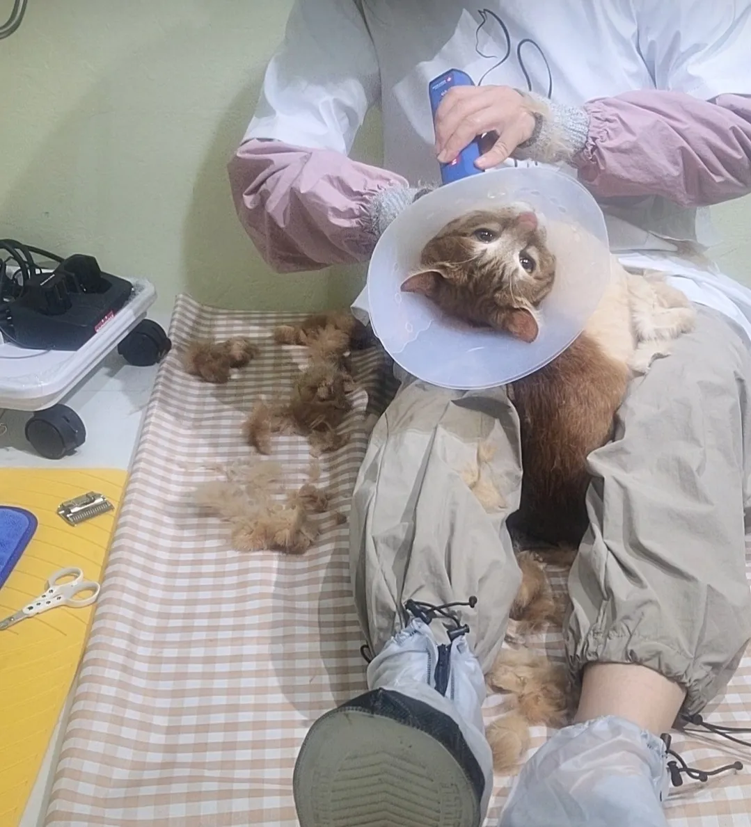 이미지 8