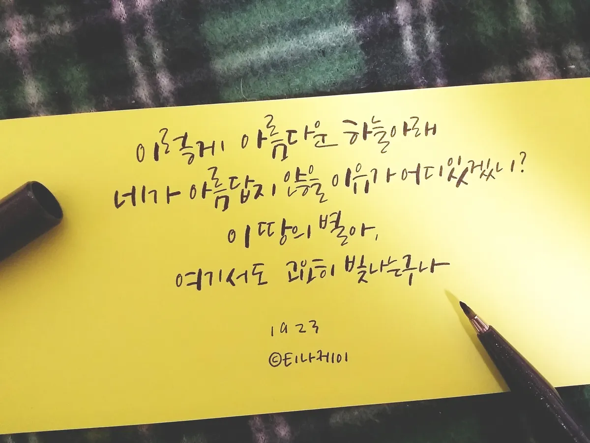 이미지 7