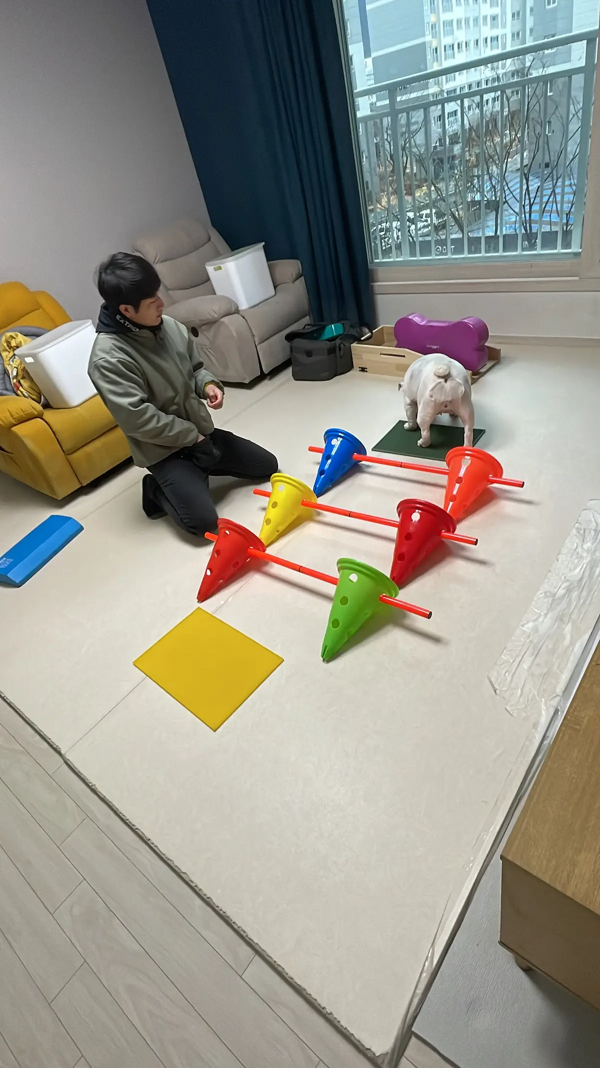 이미지 5