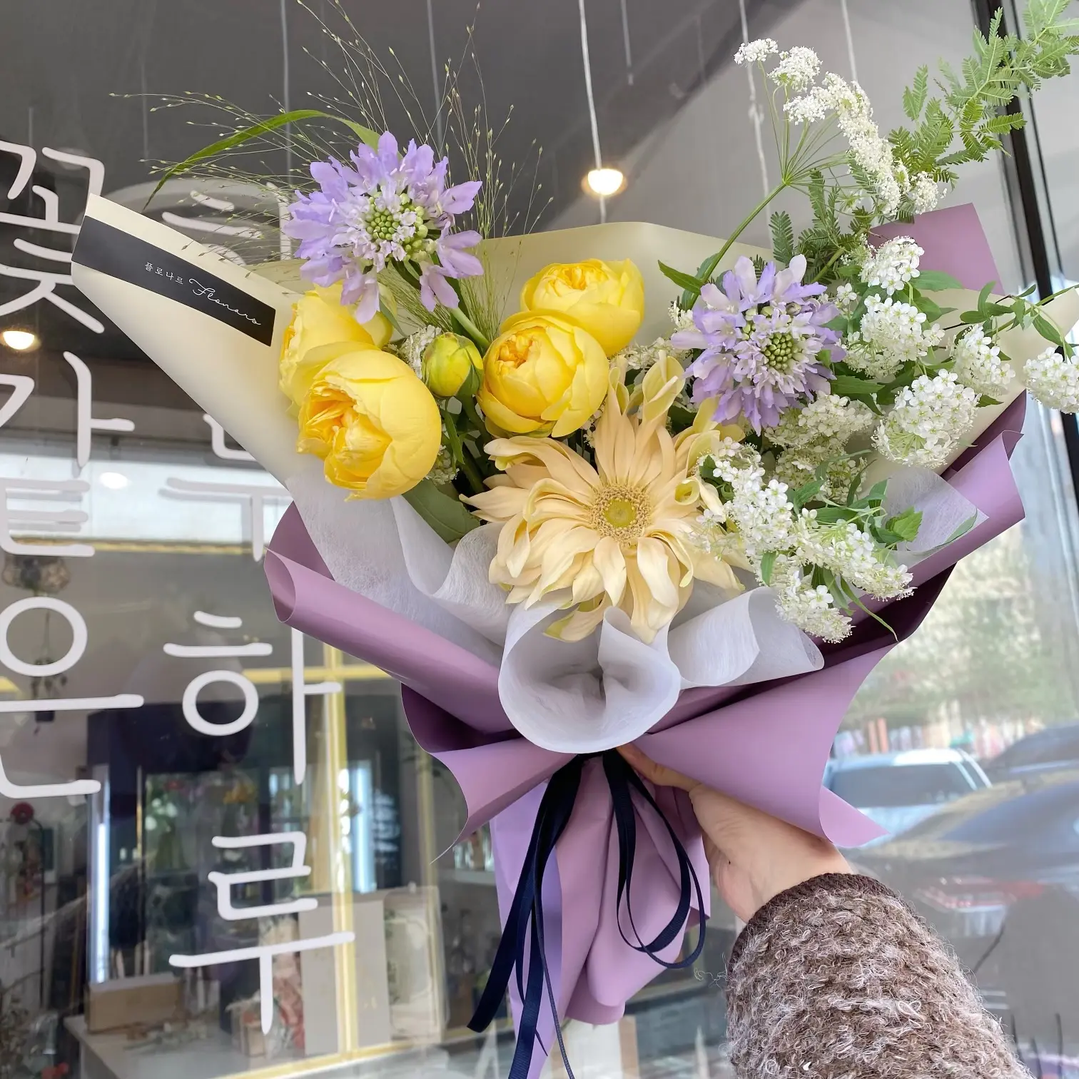 이미지 5
