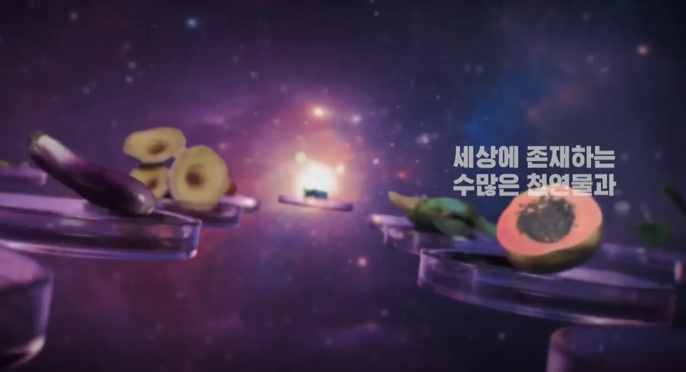 이미지 4