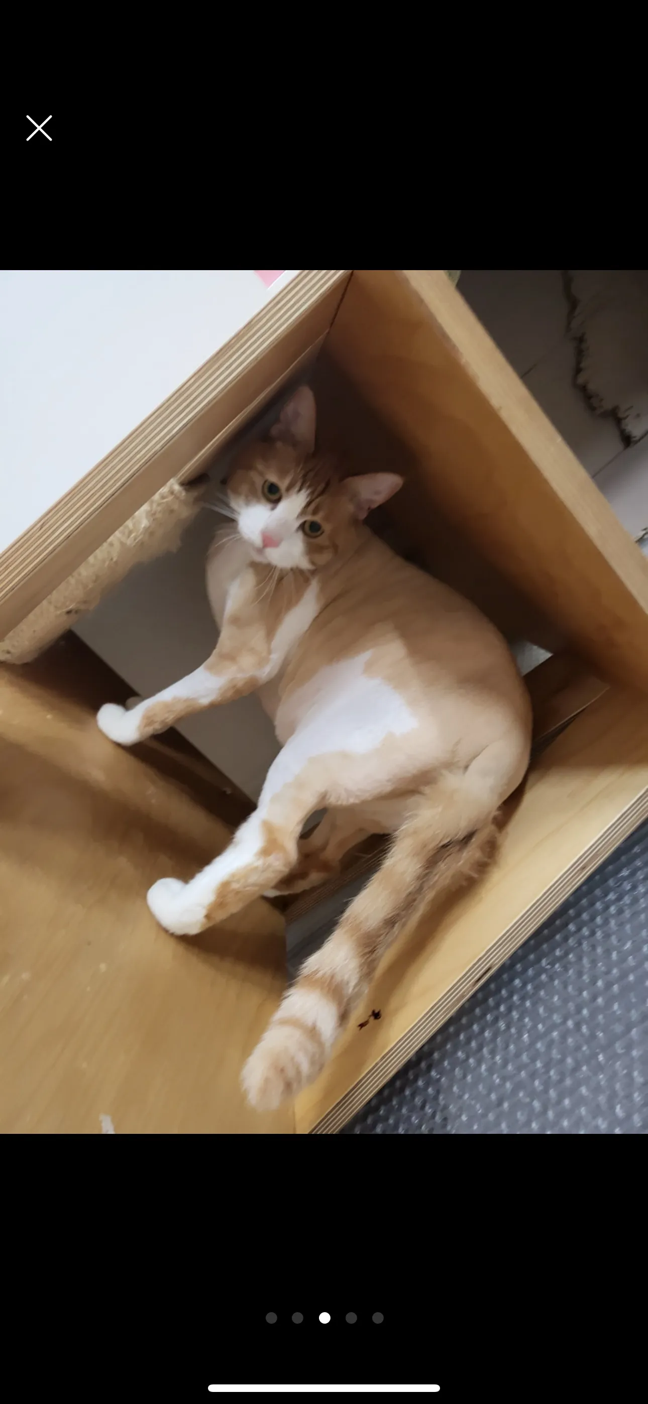 이미지 11