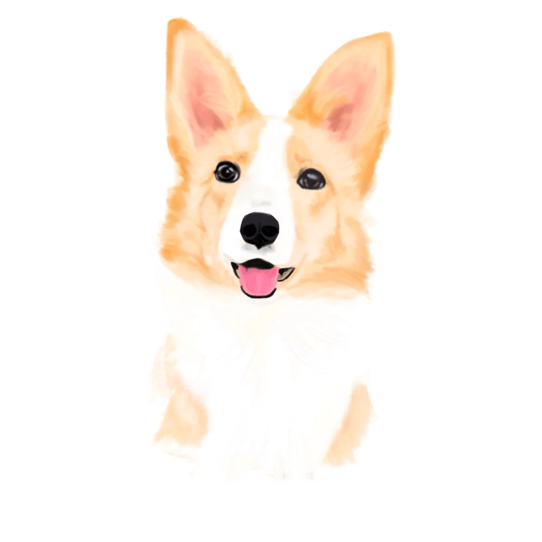이미지 14