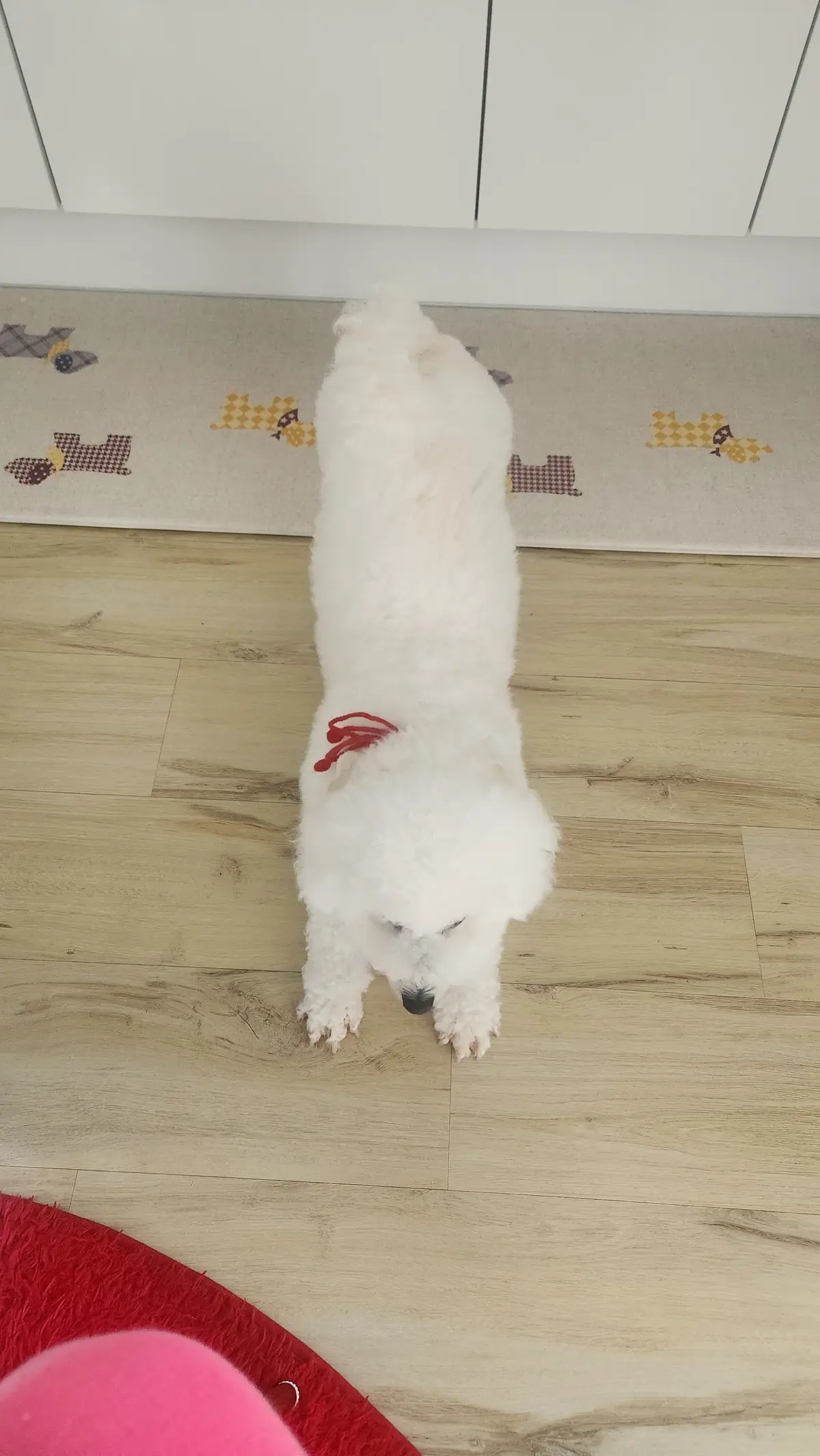 이미지 2