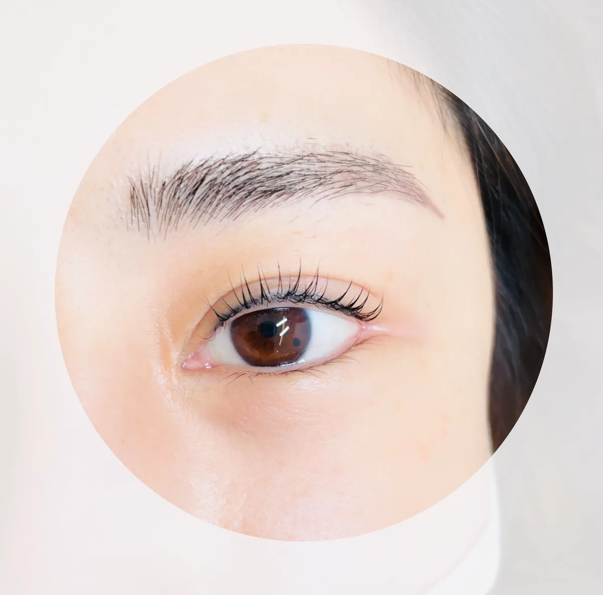 이미지 7